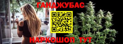Альфа ПВП Долгопрудный