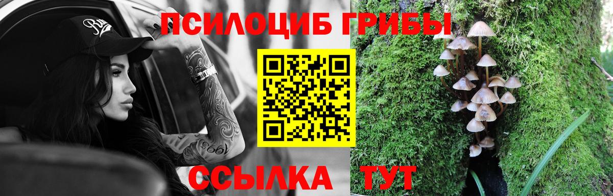 Псилоцибиновые грибы MAGIC MUSHROOMS Железноводск