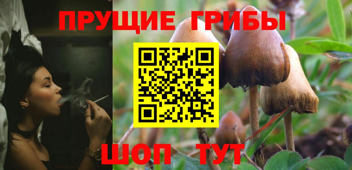 Железноводск  Галлюциногенные грибы ЛСД  Псилоцибиновые грибы прущие грибы  Вход с VPN 
